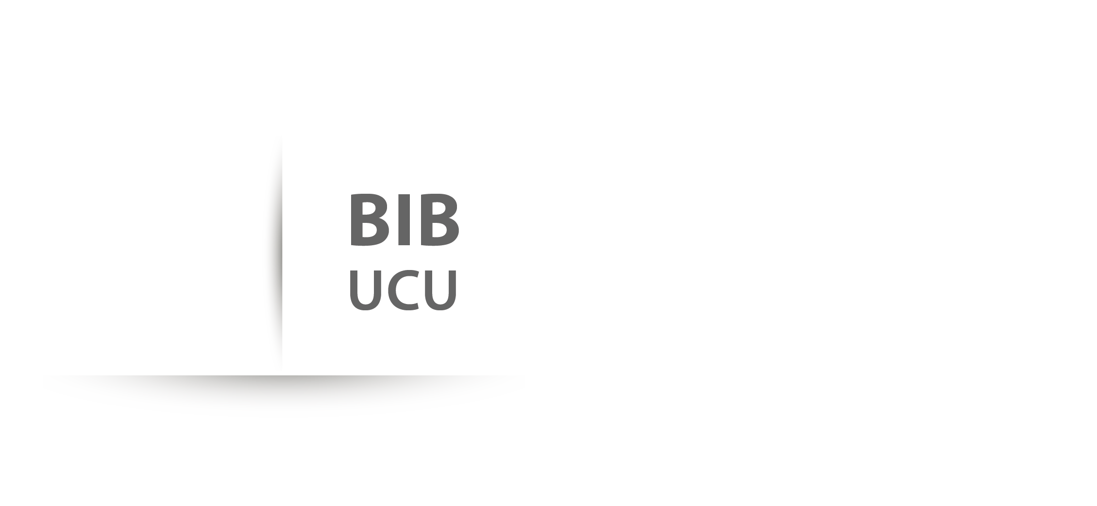 Universidad de Concepción del Uruguay
